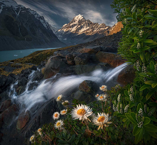 Mount Cook Print displaying flowers and a waterfall in summer