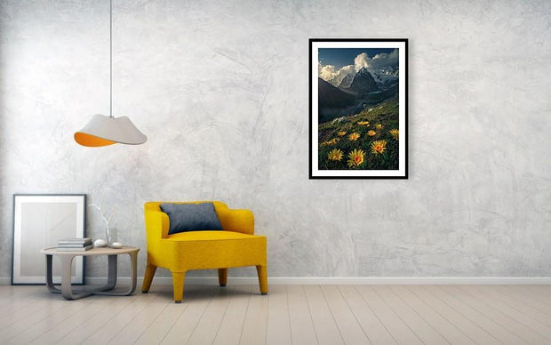 Framed print hanged in living room of yellow Mountain flowers in peru by Max Rive