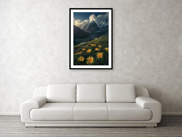 Framed print hanged on wall of yellow Mountain flowers in peru by Max Rive