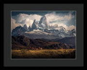 Fitz Roy Guanaco - Framed Print