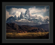 Fitz Roy Guanaco - Framed Print