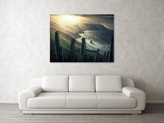 Cacti Tenerife - Canvas Print