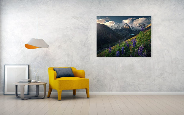 Lupine Flower Panorama - Art Print