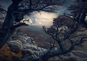 Patagonia Mountain Landscape - Acrylic Print