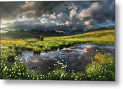 Summer Rondane - Metal Print