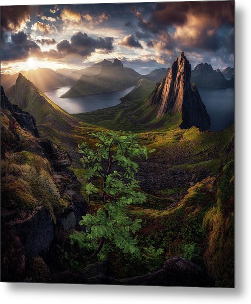 Segla Sunrise - Metal Print