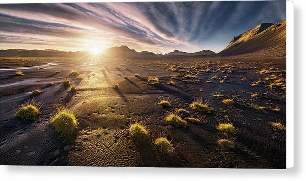 Desert of Iceland - Canvas Print