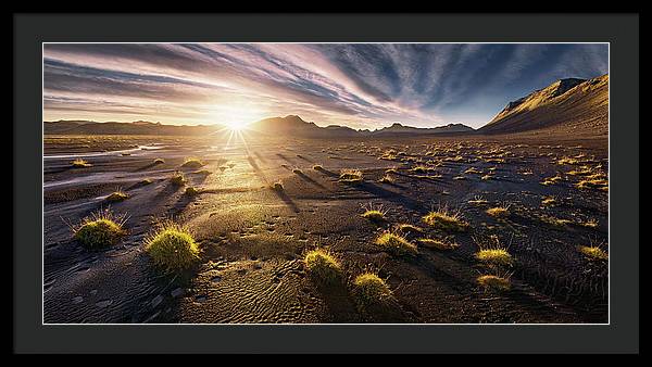 Summer Sun Desert - Framed Print