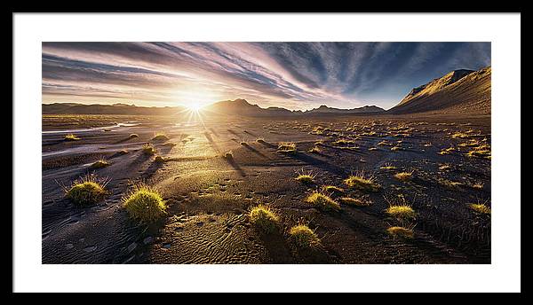 Summer Sun Desert - Framed Print