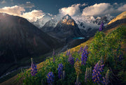 south america landscape in peru with flowers and mountains