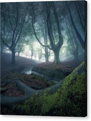 Strangers in the Forest - Canvas Print