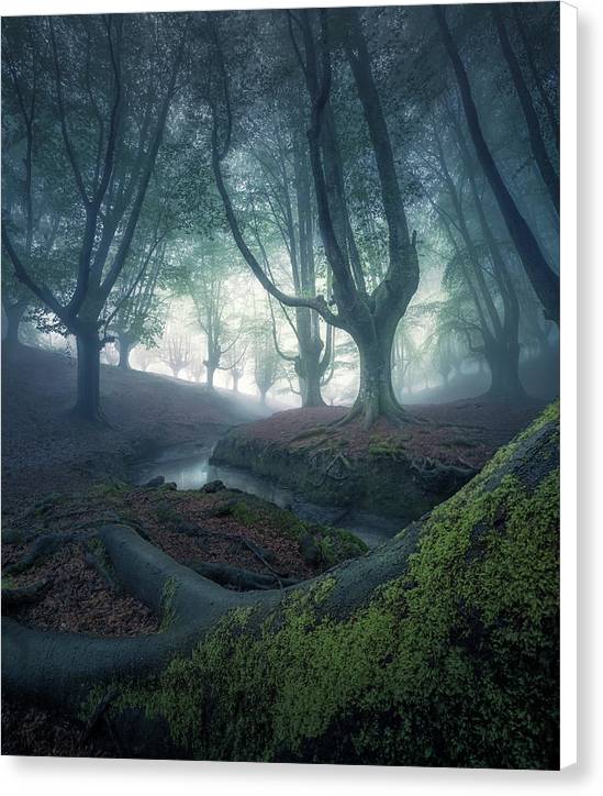 Strangers in the Forest - Canvas Print