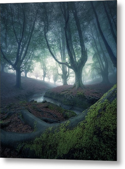 Strangers in the Forest - Metal Print