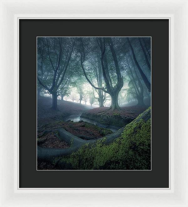 Strangers in the Forest - Framed Print