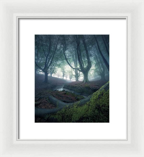 Strangers in the Forest - Framed Print