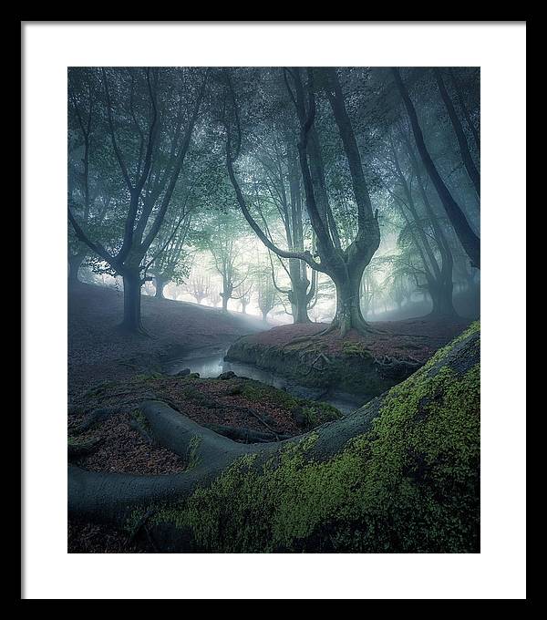 Strangers in the Forest - Framed Print