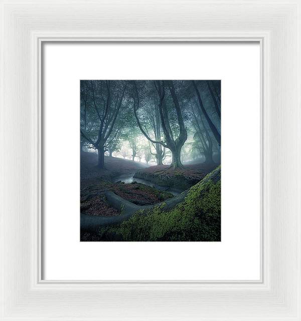 Strangers in the Forest - Framed Print