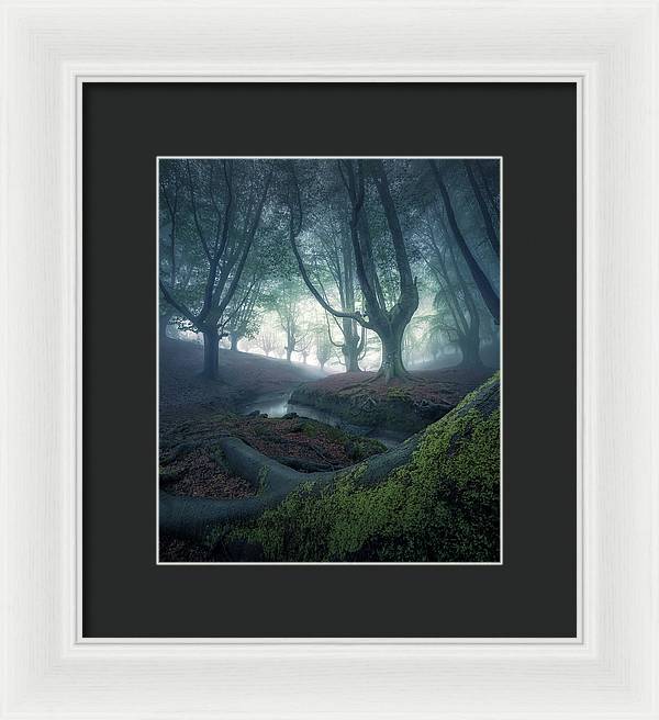 Strangers in the Forest - Framed Print