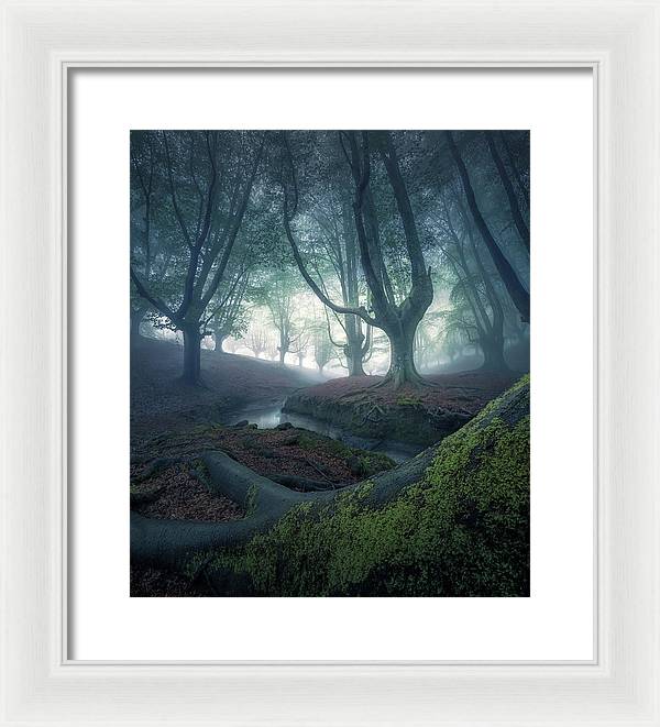 Strangers in the Forest - Framed Print