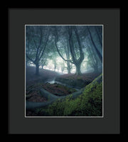 Strangers in the Forest - Framed Print