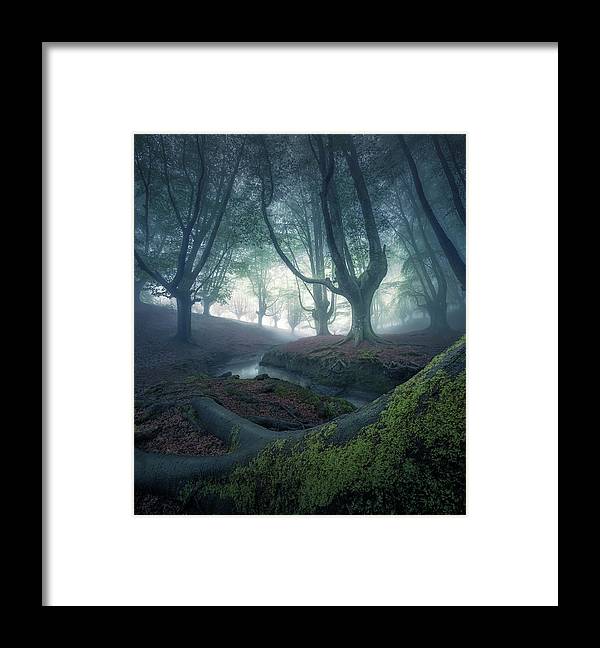 Strangers in the Forest - Framed Print