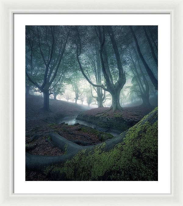 Strangers in the Forest - Framed Print