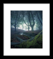 Strangers in the Forest - Framed Print