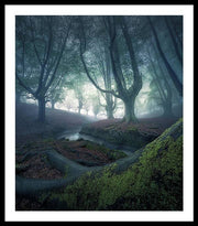 Strangers in the Forest - Framed Print