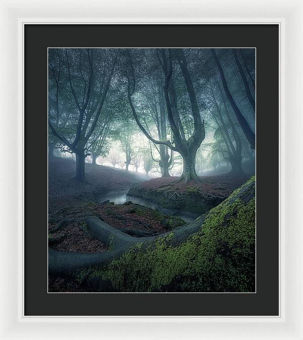 Strangers in the Forest - Framed Print