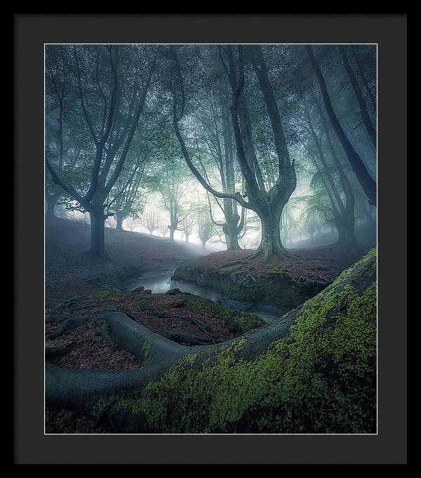 Strangers in the Forest - Framed Print