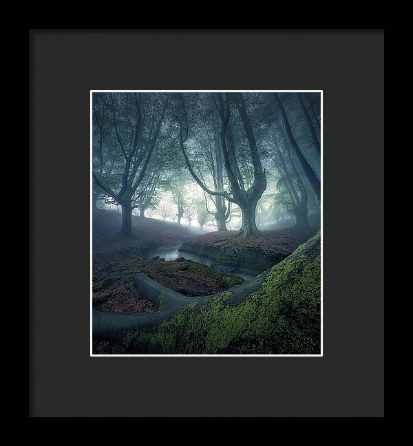 Strangers in the Forest - Framed Print