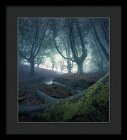 Strangers in the Forest - Framed Print