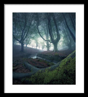 Strangers in the Forest - Framed Print