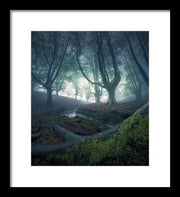 Strangers in the Forest - Framed Print