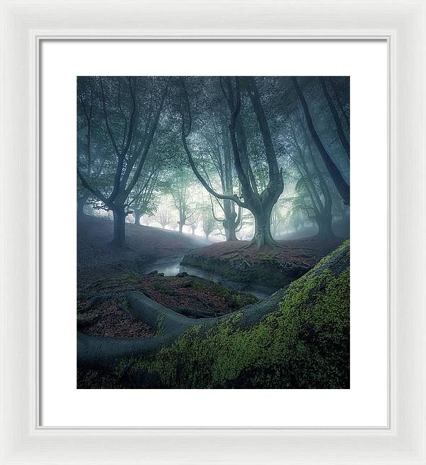 Strangers in the Forest - Framed Print