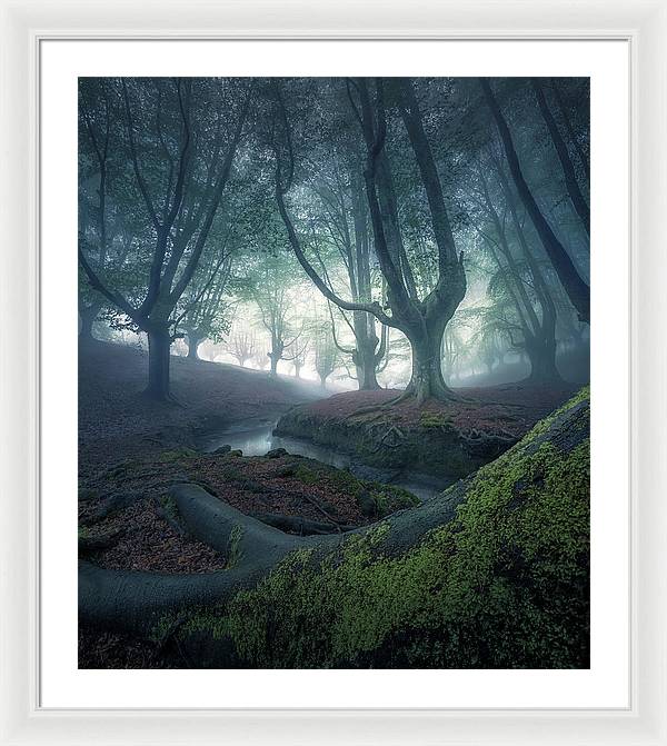 Strangers in the Forest - Framed Print