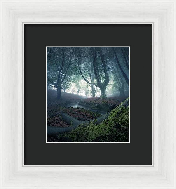 Strangers in the Forest - Framed Print