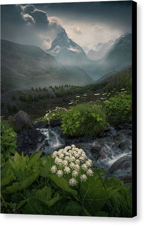 Green Summer Zermatt - Canvas Print