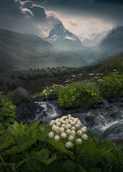 Green Summer Zermatt - Canvas Print