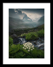 Zermatt Summer Print