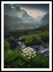 Zermatt Summer Print