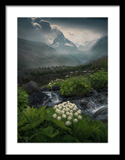 Zermatt Summer Print