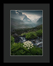 Zermatt Summer Print