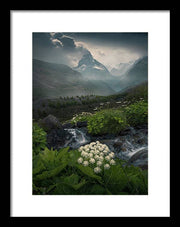 Zermatt Summer Print