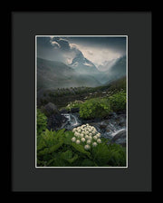 Zermatt Summer Print