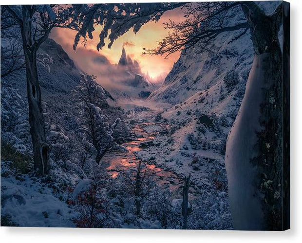 Sun in the Winter - Canvas Print