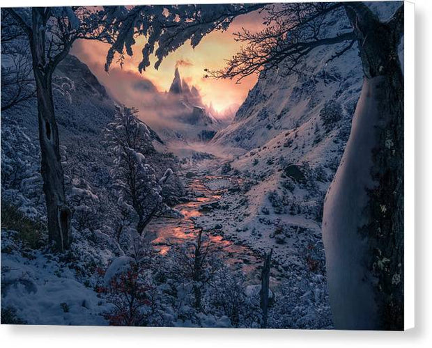 Sun in the Winter - Canvas Print