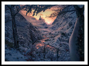 Sun in the Winter - Framed Print