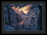 Sun in the Winter - Framed Print