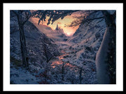 Sun in the Winter - Framed Print